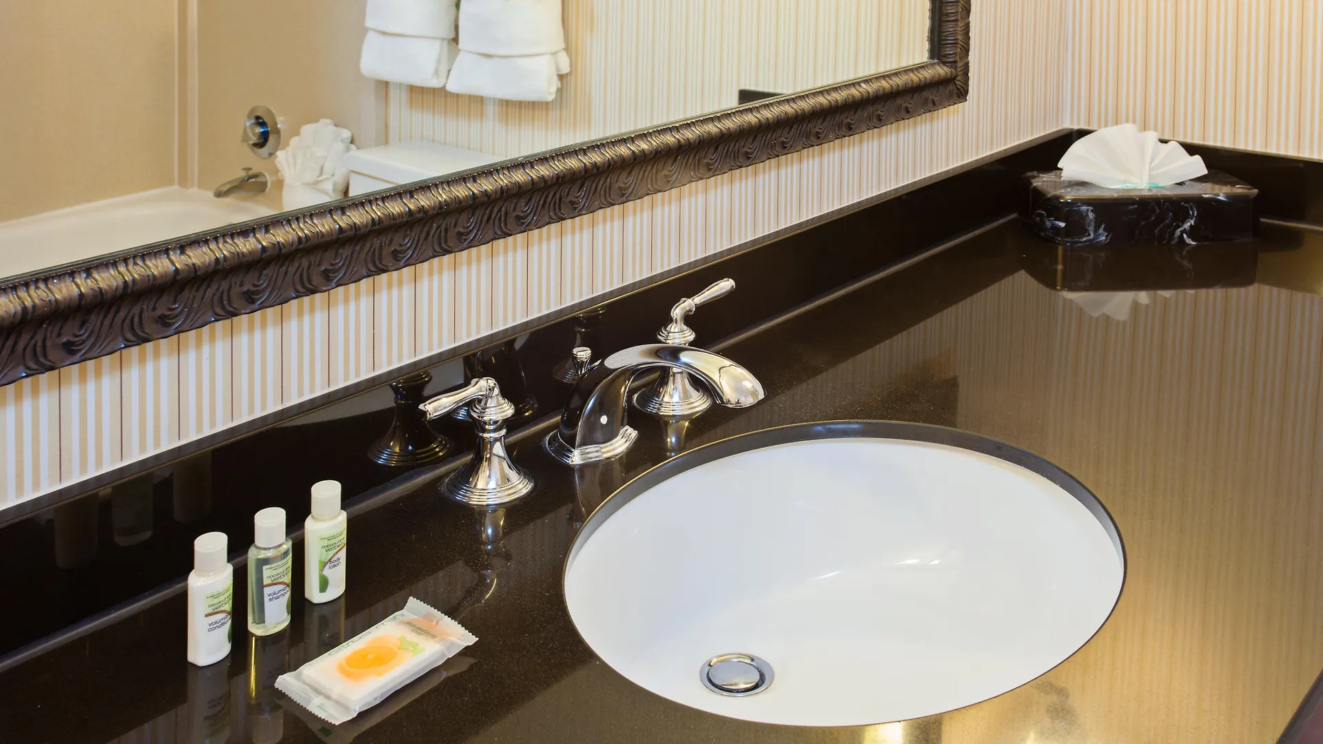 Holiday Inn Sacramento Downtown-Arena By Ihg United States