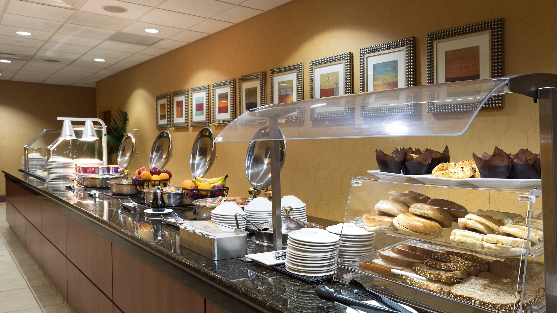 Hotel Holiday Inn Sacramento Downtown-Arena By Ihg