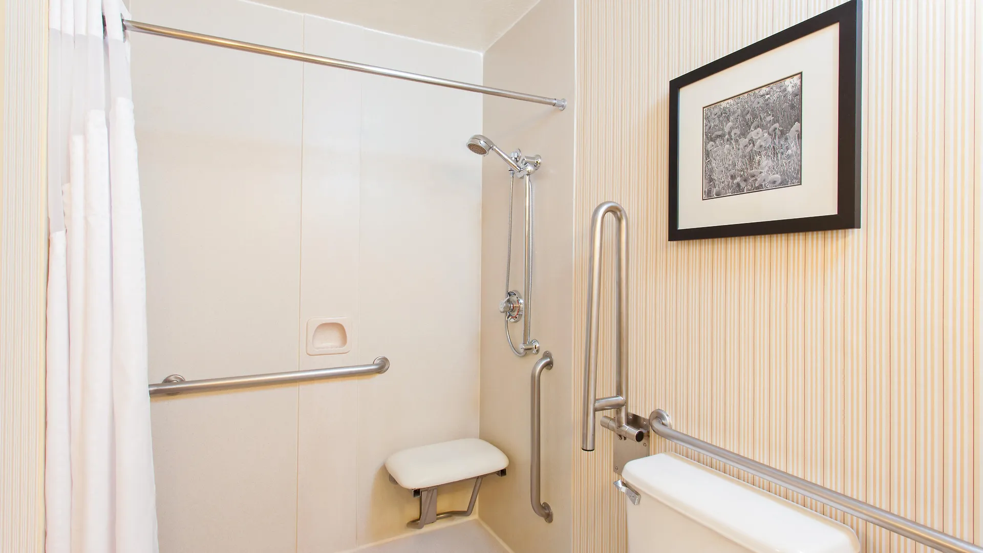 Hotel Holiday Inn Sacramento Downtown-Arena By Ihg