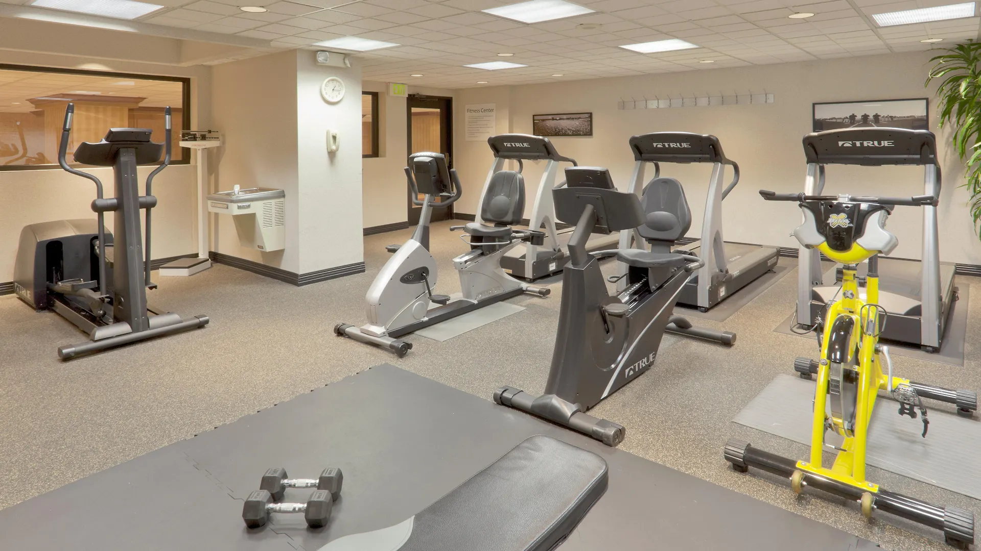 Holiday Inn Sacramento Downtown-Arena By Ihg États-Unis